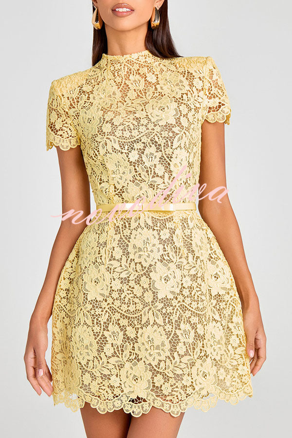 Minivestido Champagne Toast de encaje floral con manga corta y cinturón con lazo
